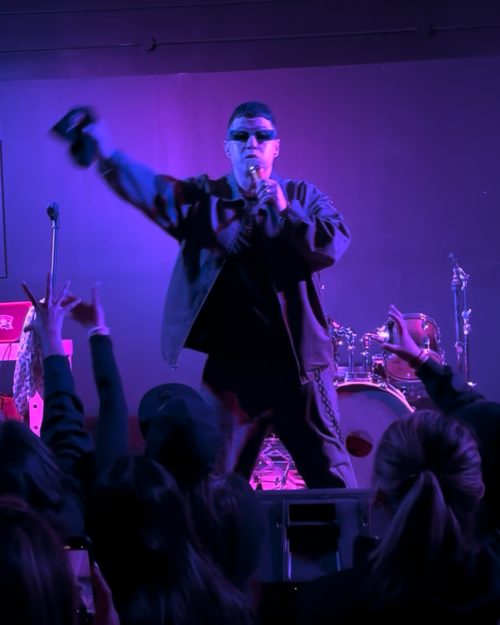 Performer Stage Sunglasses Holding Microphone Audience Foreground Performer on stage in sunglasses holding microphone with audience in foreground.